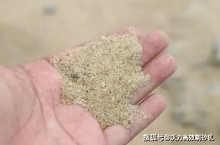 砂子不够拿进口砂用 机制砂的出现才是未来